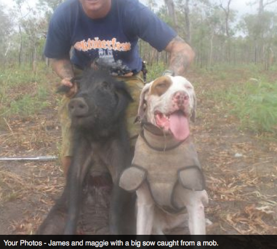 Screen Shot 2013-10-02 at 1.37.35 PM